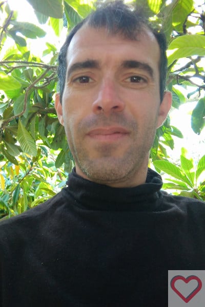 Polli