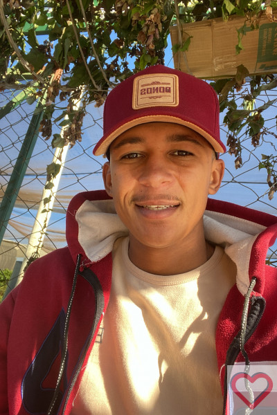 Welvison